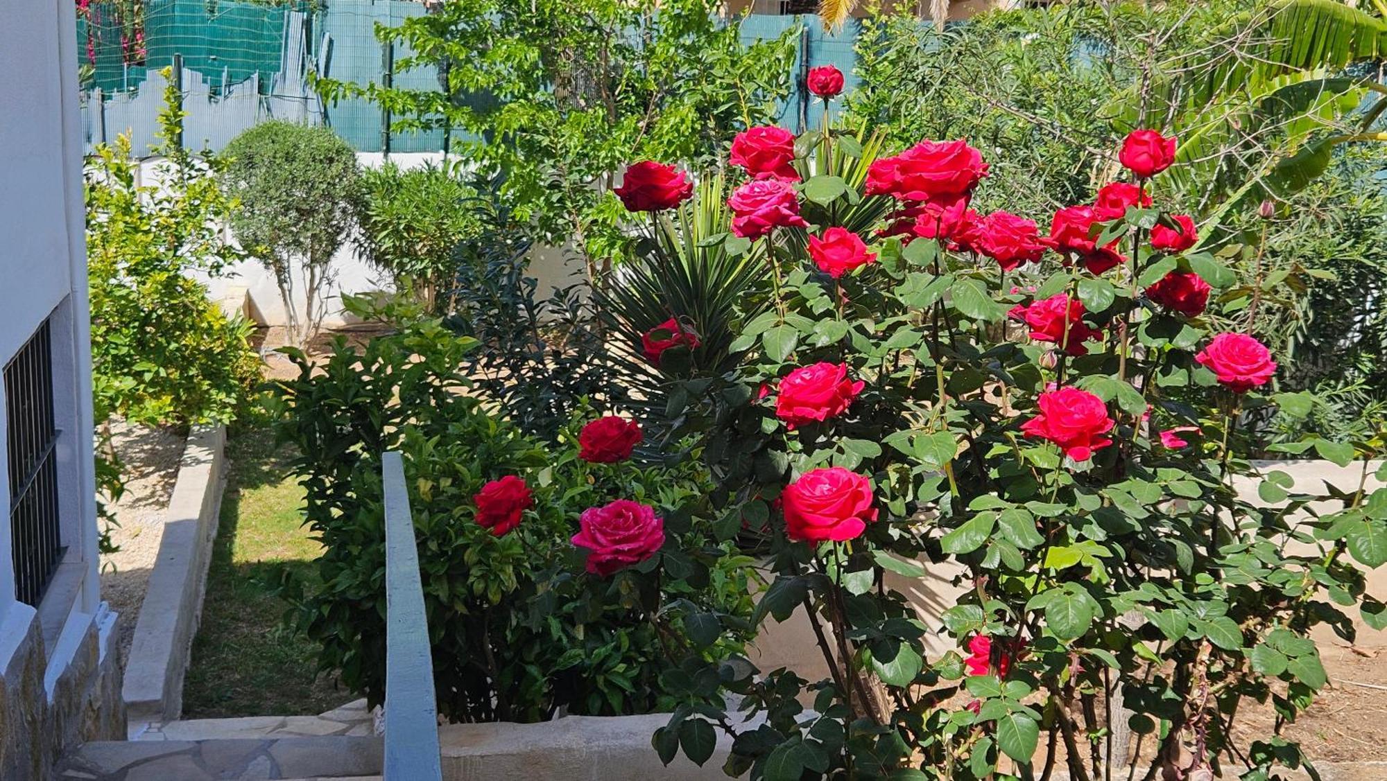 فيلا Altomira دينايا المظهر الخارجي الصورة